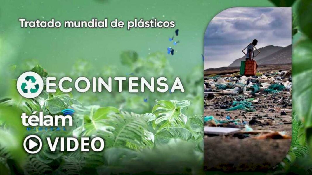 ecointensa:-tratado-mundial-de-plasticos