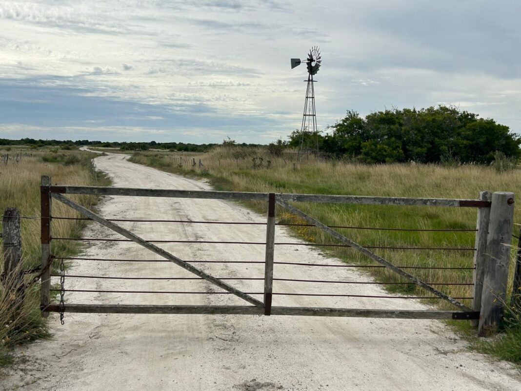 Campo rural argentino con alambrado y cielo despejado