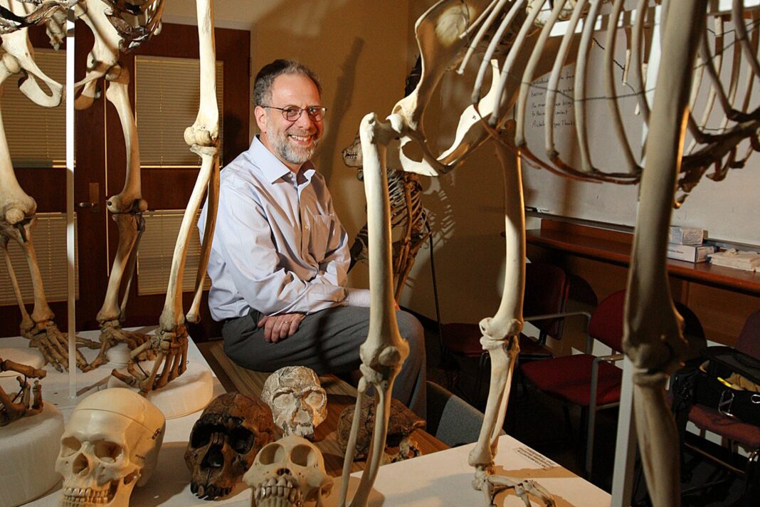 Daniel Lieberman, paleoantropólogo de Harvard, en una entrevista.