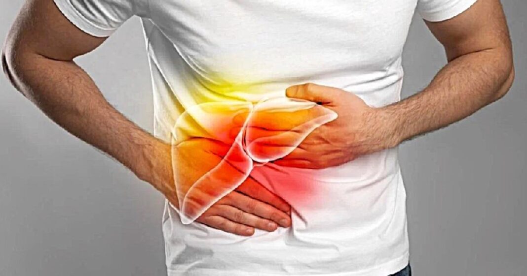 Ilustración médica que muestra un hígado sano y uno afectado por fibrosis.