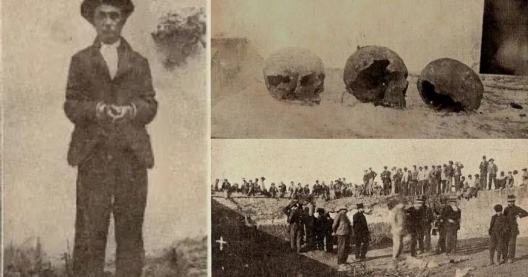 Ilustración de un huerto con tapia de ladrillo y árboles frutales, escenario del crimen de la huerta del francés en Peñaflor