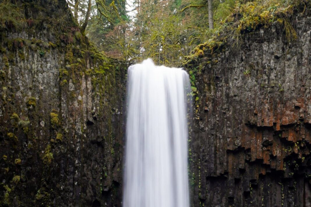 Cataratas de Abiqua, un salto de agua de 28 metros en Oregon, rodeado de vegetación.