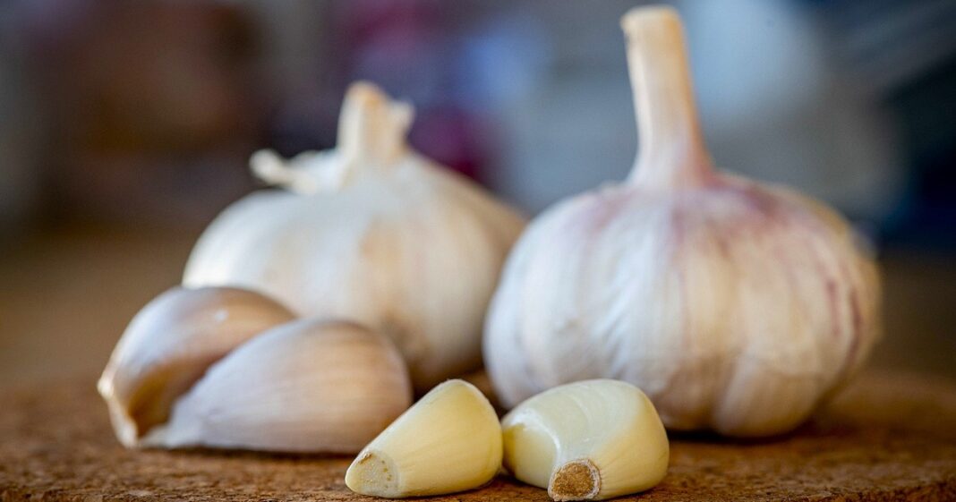 Imagen representativa de varios suplementos dietarios y alimentos saludables sobre una mesa.