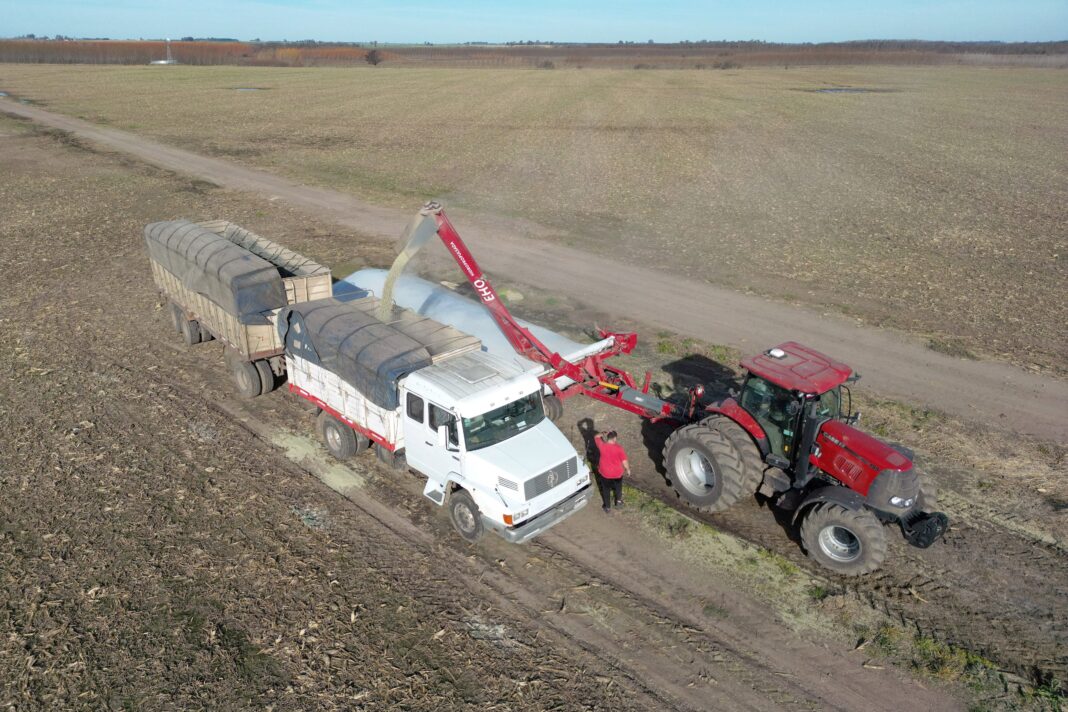 Camión circulando por una ruta argentina cerca de un puerto