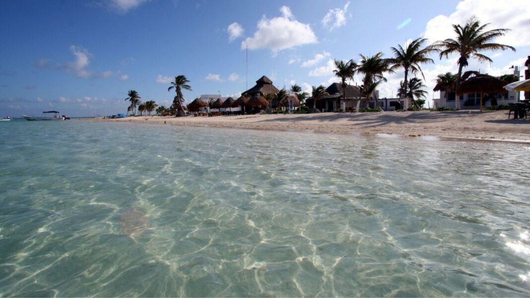 Manglares en Mahahual, Quintana Roo