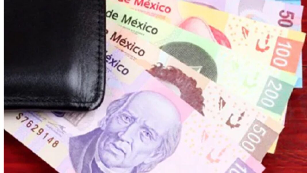 Gráfico de bonos sostenibles con el logo de la SHCP y los ODS