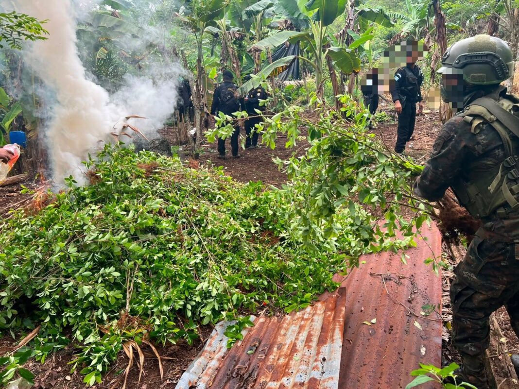 Operativo de erradicación de cultivos de coca en Cahabón, Alta Verapaz, Guatemala