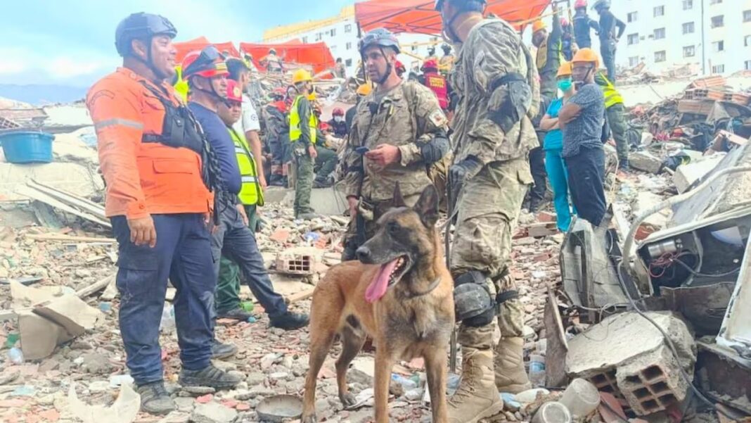 Bart, perro especializado en búsqueda y rescate, durante la misión humanitaria argentina en Venezuela