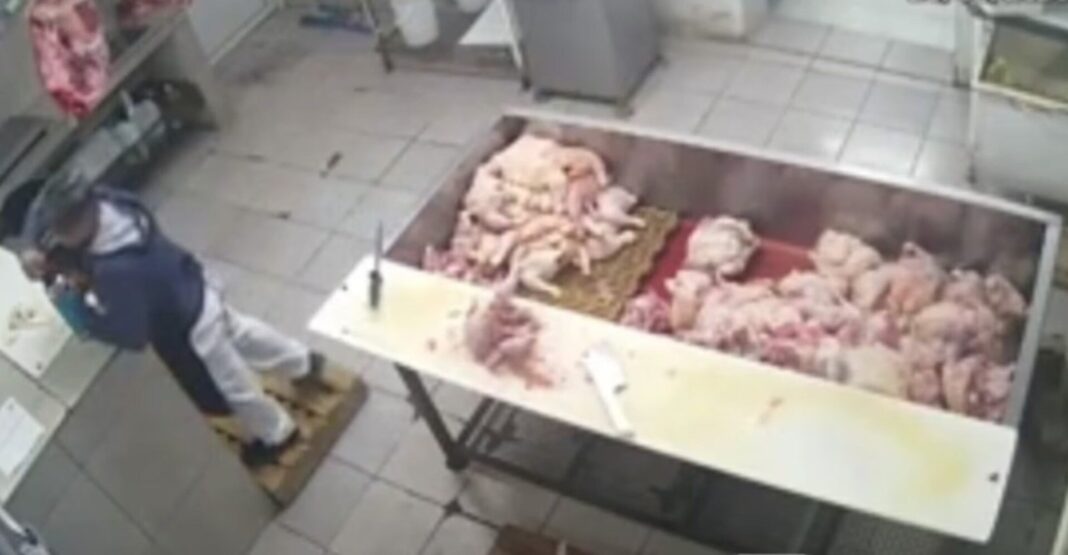 Cámaras de seguridad de una carnicería en Corral de Bustos