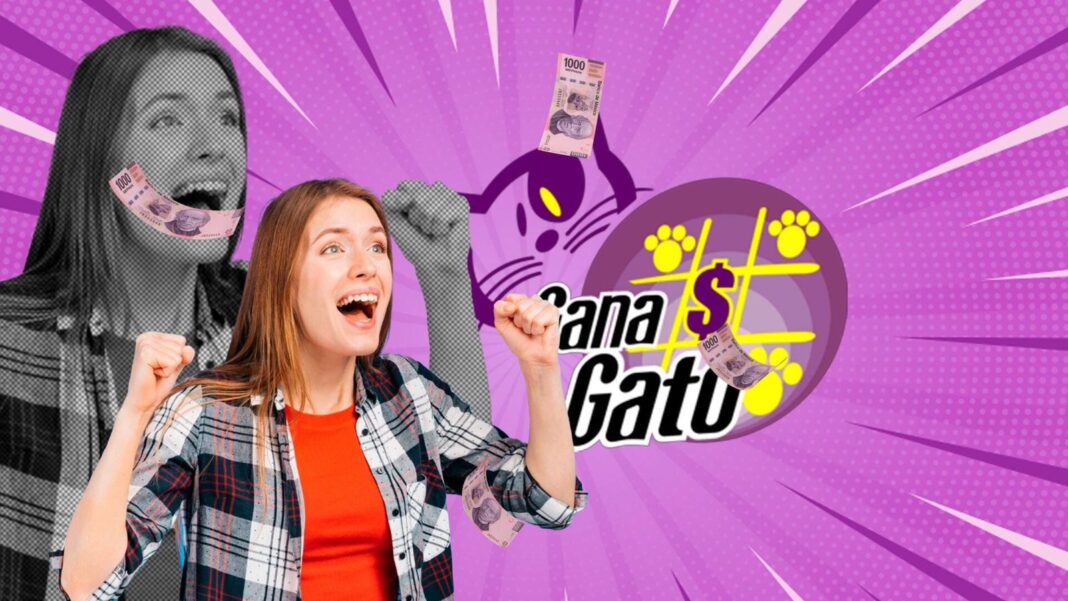 Boleto del sorteo Gana Gato con resultados
