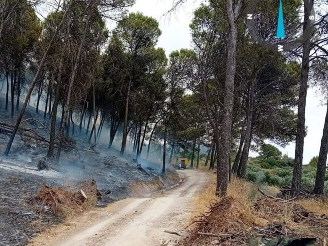 Autobomba del Plan Infoca en labores de extinción de incendio forestal en Rute