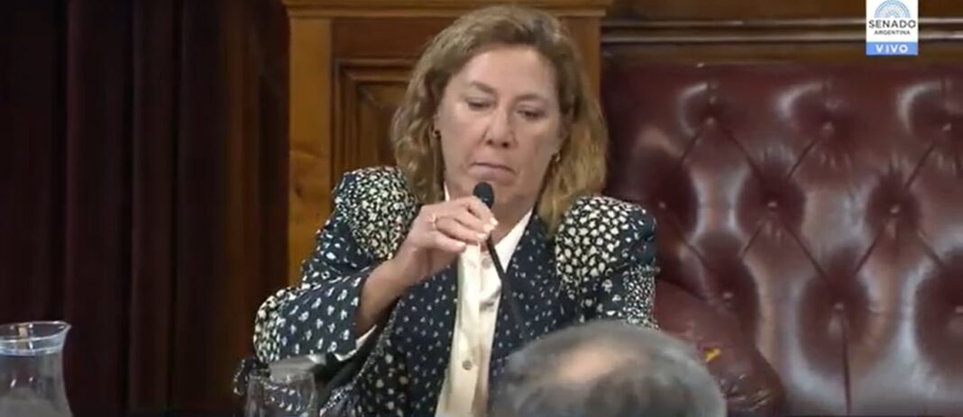 Ana Juan en el Senado