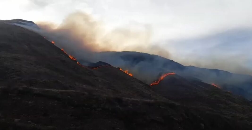 Brigadistas combaten incendio forestal en sierras de Guanchín, La Rioja
