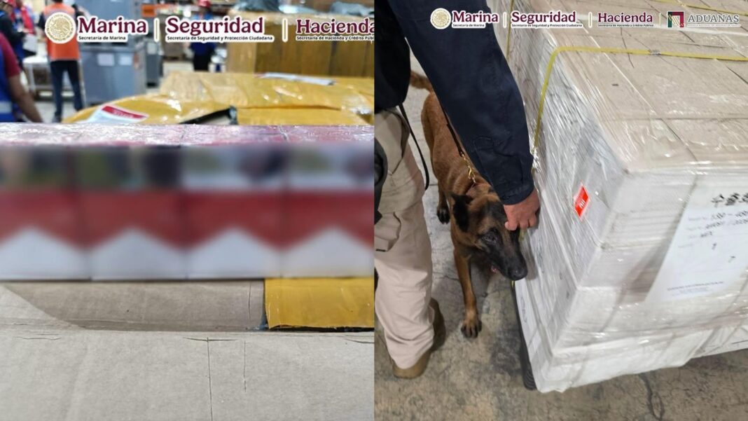 Cigarros asegurados por autoridades en el AICM