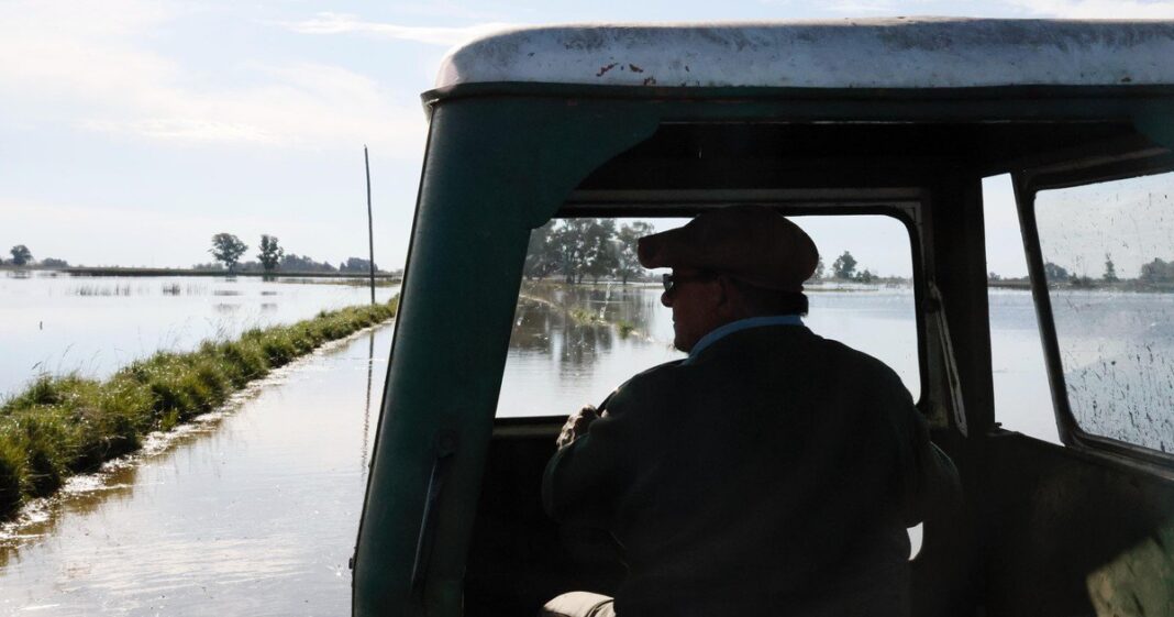 Campo agrícola con cielo nublado durante el fenómeno El Niño en Argentina