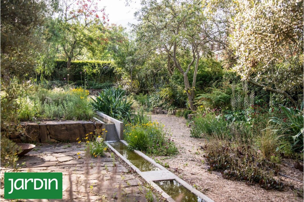 Jardín esponja con depresiones del terreno y vegetación nativa durante una lluvia