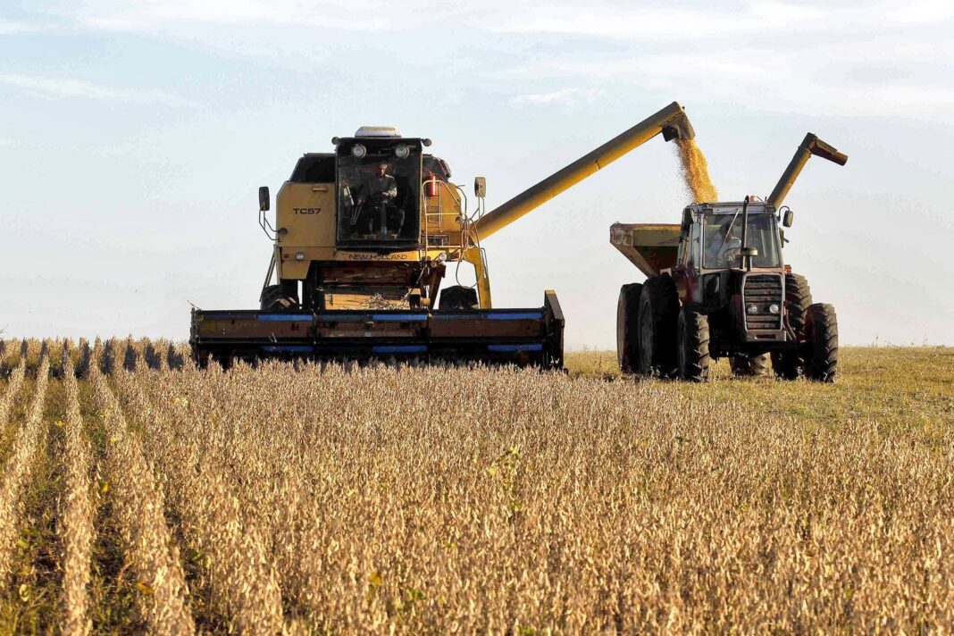 Campo agrícola con soja
