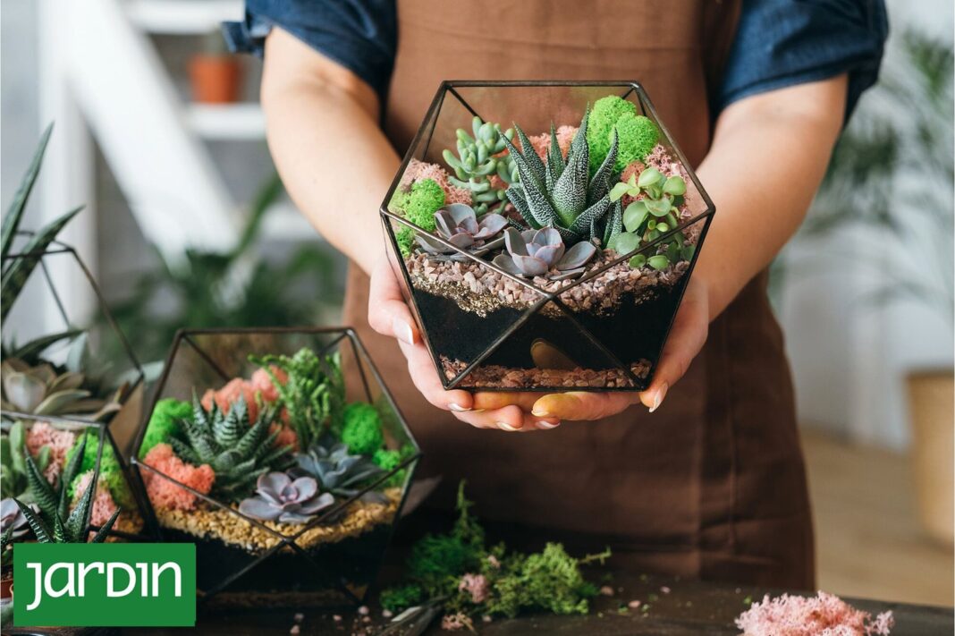 Terrario cerrado con plantas y musgo en un frasco de vidrio