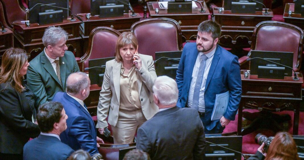 Patricia Bullrich en el Senado