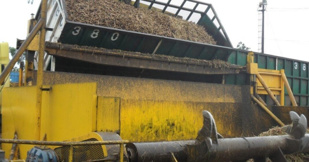 Azúcar crudo en sacos listo para exportación