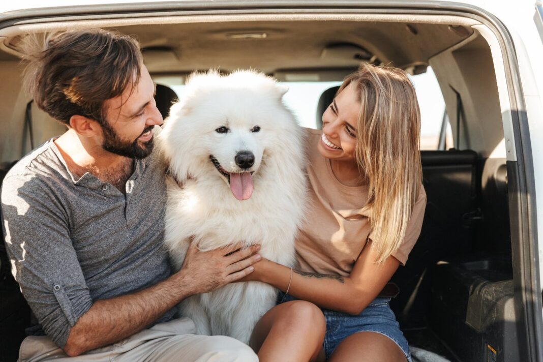 Adiestrador canino Víctor Mareño junto a un perro
