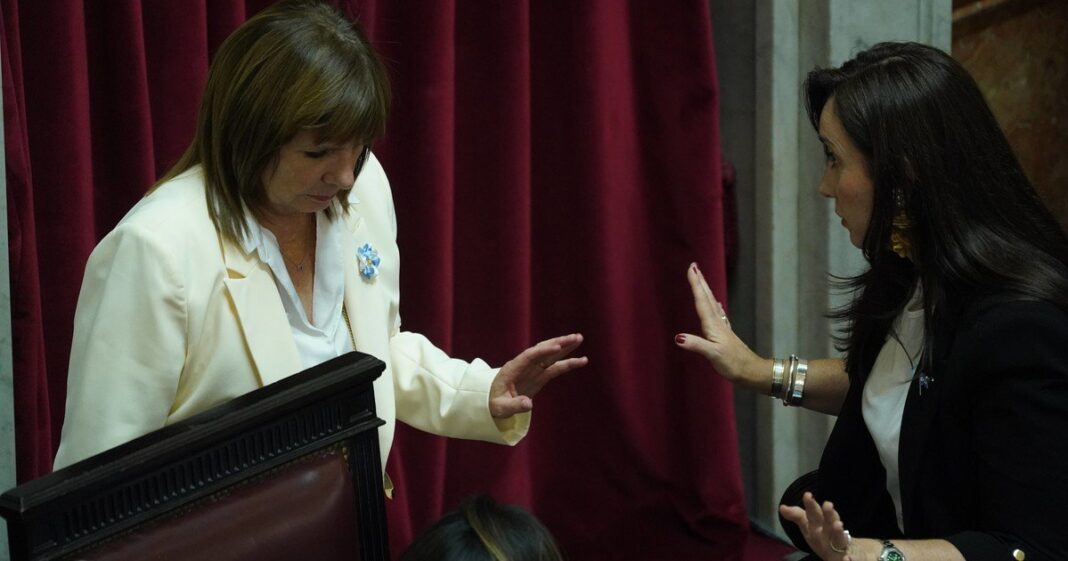 Victoria Villarruel en el Senado