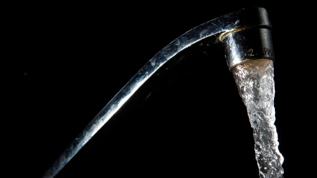 Micrografía de Acanthamoeba, ameba de vida libre que puede causar infecciones oculares y cerebrales