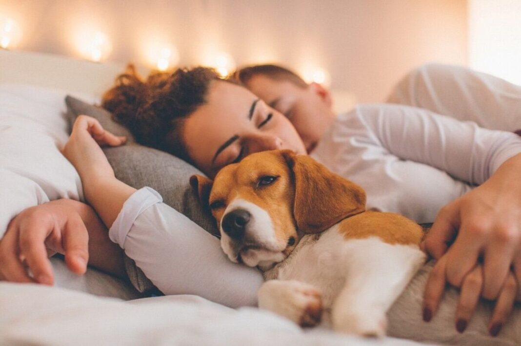 Persona y perro durmiendo en una cama