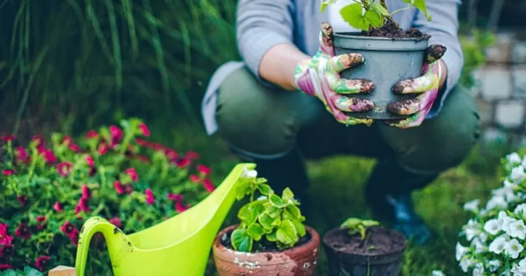 Persona junto a una planta en una habitación