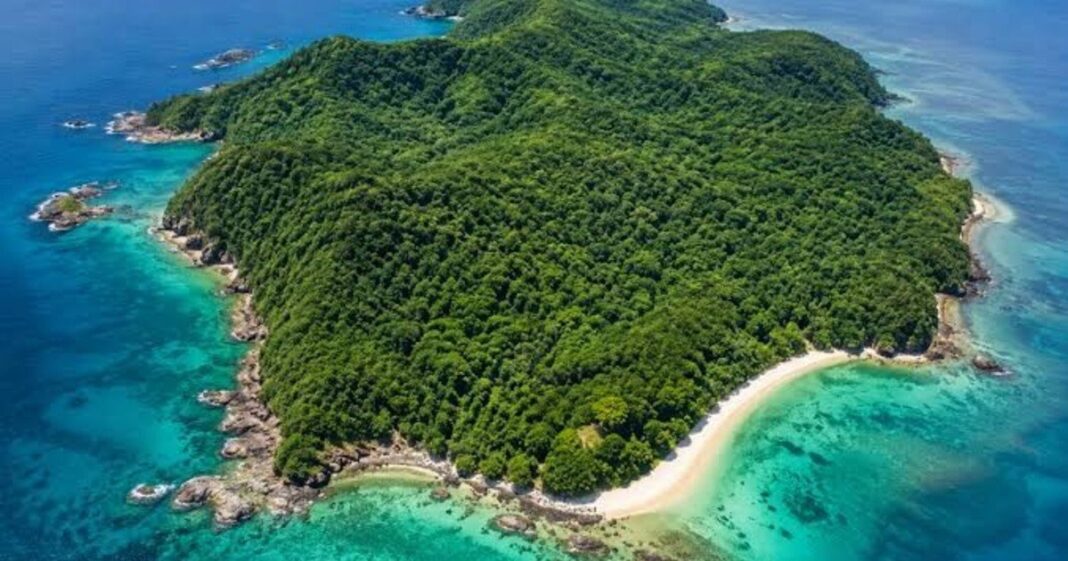 Vista de Three Hummock Island, una isla remota en el estrecho de Bass, Australia