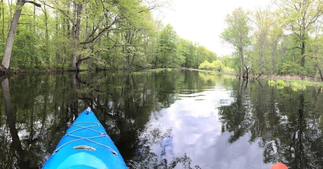 Vista aérea del Refugio Nacional de Vida Silvestre Great Swamp en Nueva Jersey