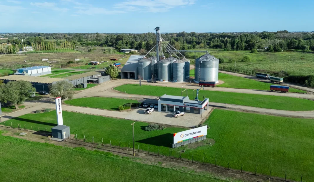 Campos agrícolas y ganaderos de Grupo Faro Verde