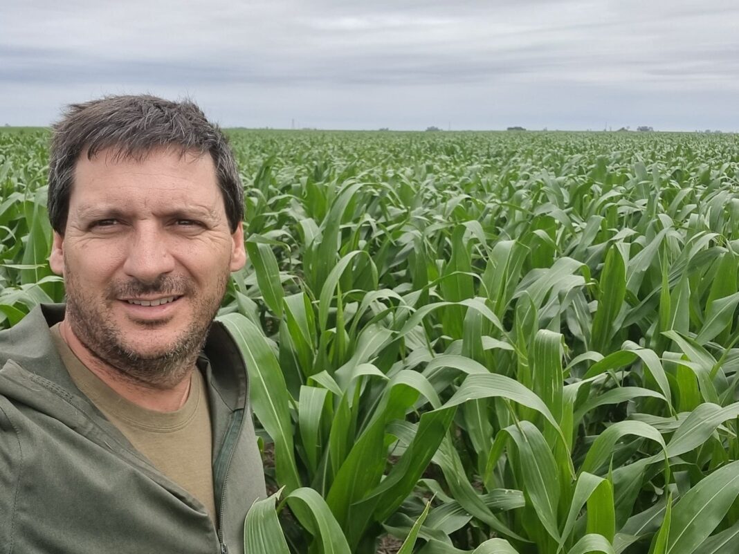 Campo de maíz bajo riego en el Valle Medio de Río Negro