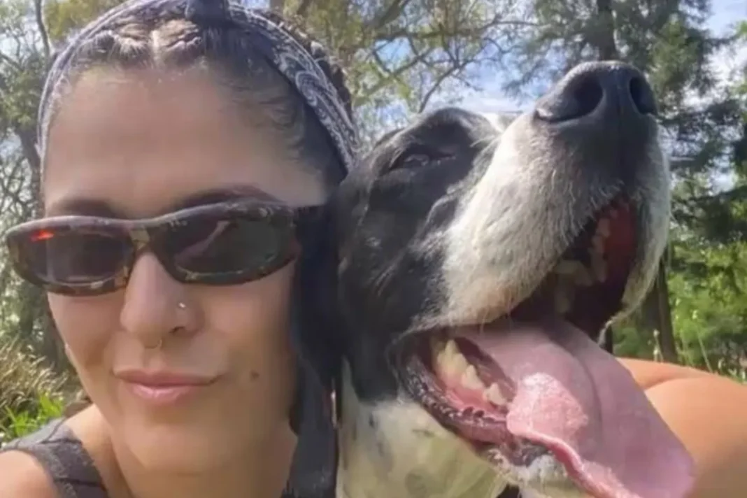 Plaza de los Inmigrantes en Olivos, Vicente López, donde ocurrió la intoxicación de dos perros