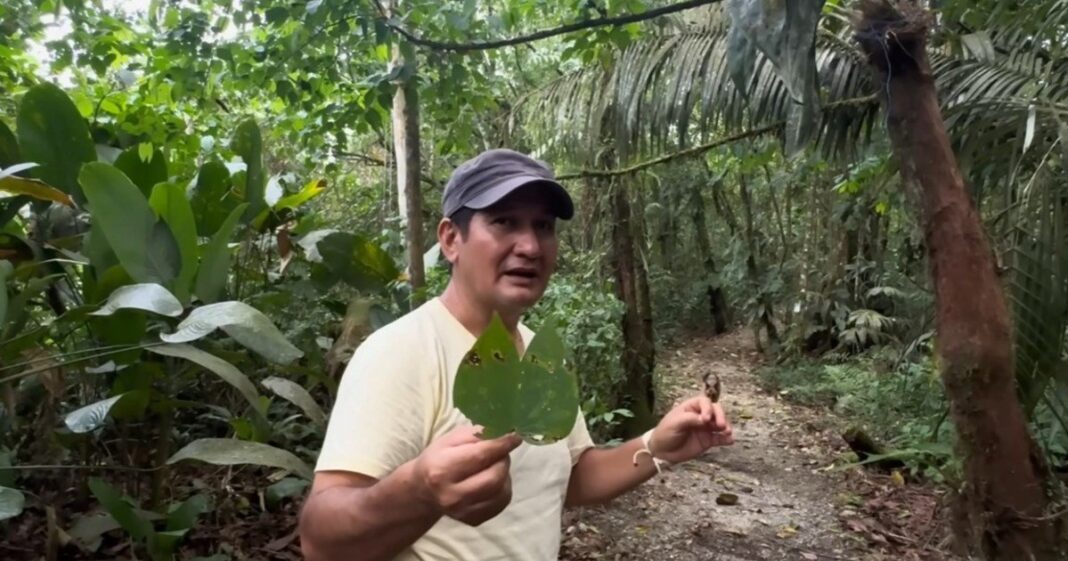 Jorge y María en su reserva ecológica Oro y Luna en la Amazonía ecuatoriana, rodeados de árboles y animales silvestres