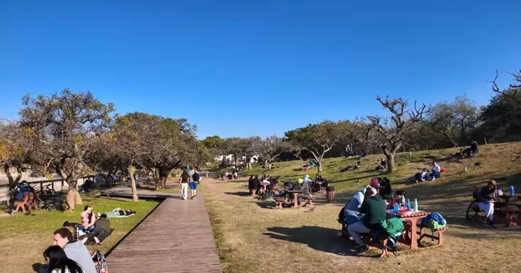 Vista de los senderos y lagunas de la Reserva Ecológica Costanera Sur en Puerto Madero, Ciudad de Buenos Aires