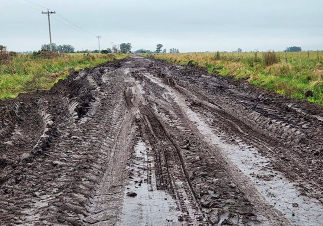 Sociedad Rural de San Pedro reclama información sobre fondos para caminos rurales